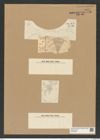 Coscinodiscus undatus (Cl.) Grun. (de-Toni-Nr.: Genus 202, Species 5093) Zeichnungen Sammlung Grunow Nr. 8851 (NHMW-BOT-W0378480)